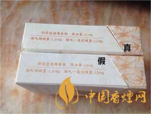 黃金葉天葉真假識別